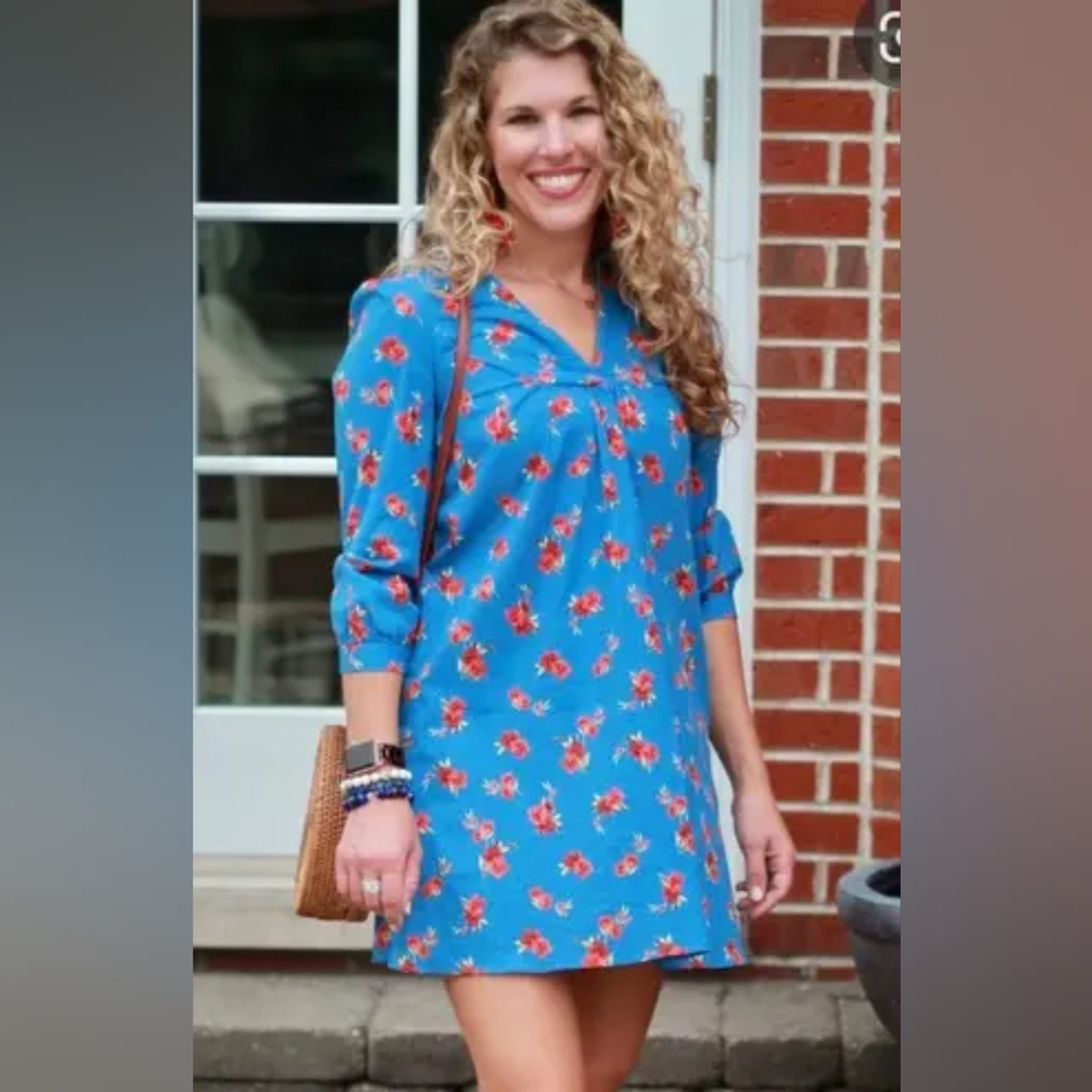 Zara Blue and Red Floral Dress Medium